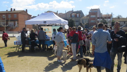 (Español) 3 TOMBS VILANOVA DEL VALLÈS 2017