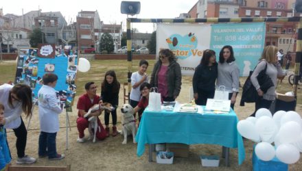 (Español) 3 TOMBS VILANOVA DEL VALLÉS 2016