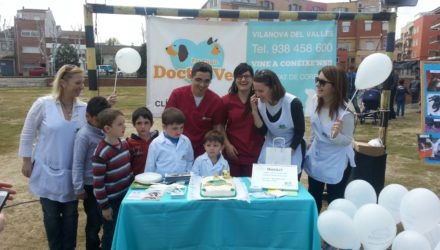 (Español) 3 TOMBS VILANOVA DEL VALLÉS 2016