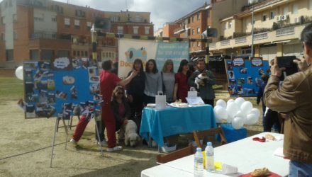 (Español) 3 TOMBS VILANOVA DEL VALLÉS 2016