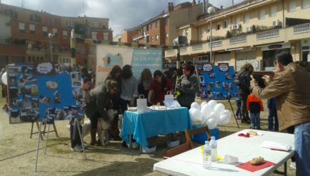 (Español) 3 TOMBS VILANOVA DEL VALLÉS 2016