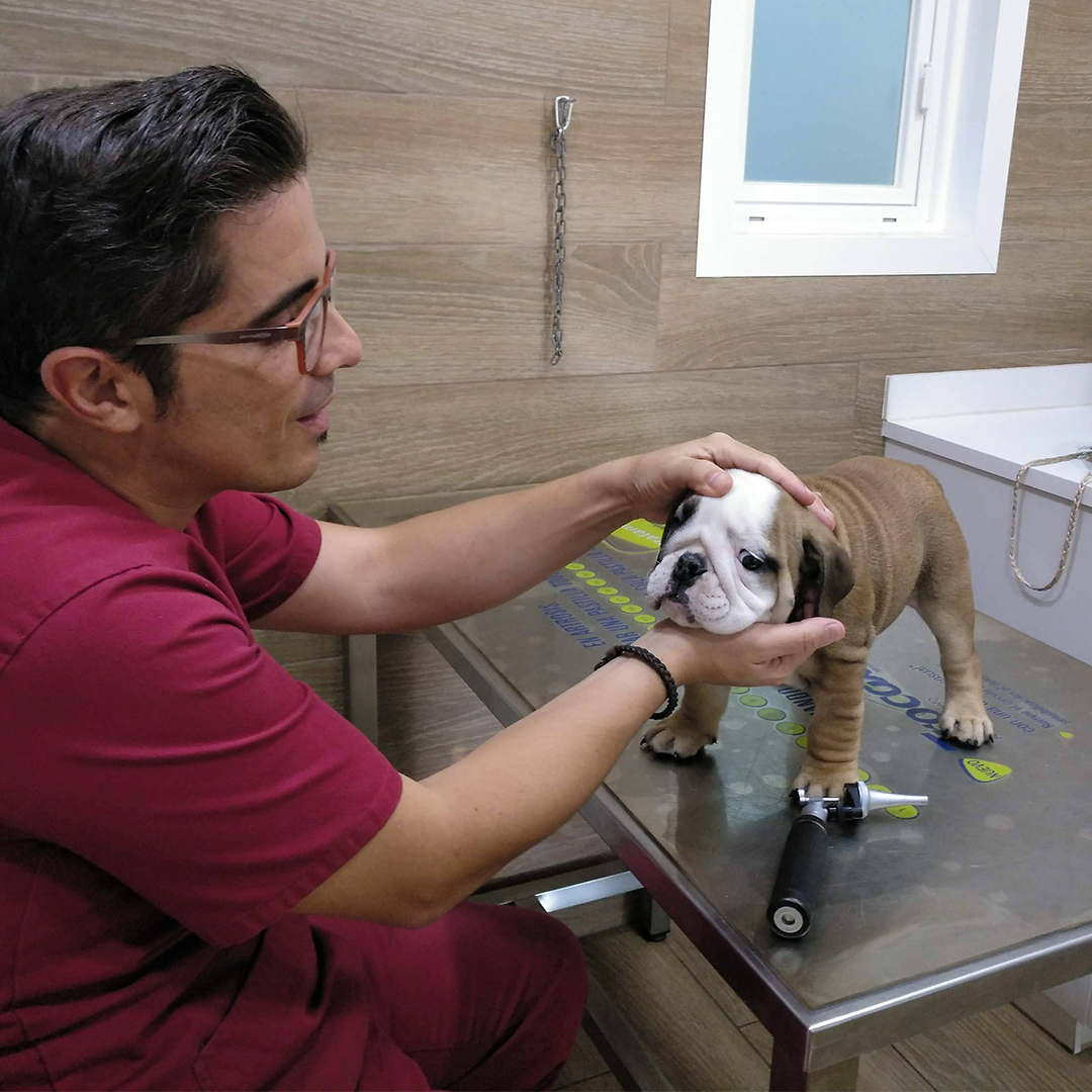 marti-en-consulta-con-cachorro